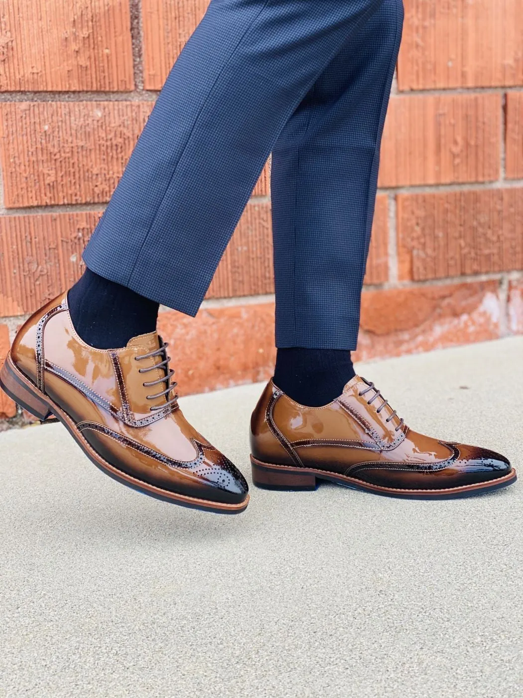 CALTO - S1017 - 3.0 Inches Taller (Dark Brown Patent Leather)