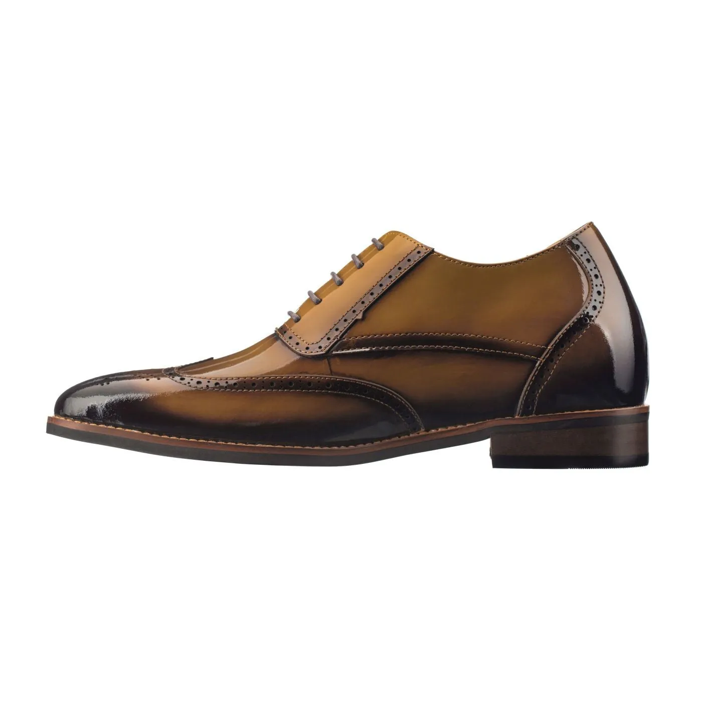 CALTO - S1017 - 3.0 Inches Taller (Dark Brown Patent Leather)