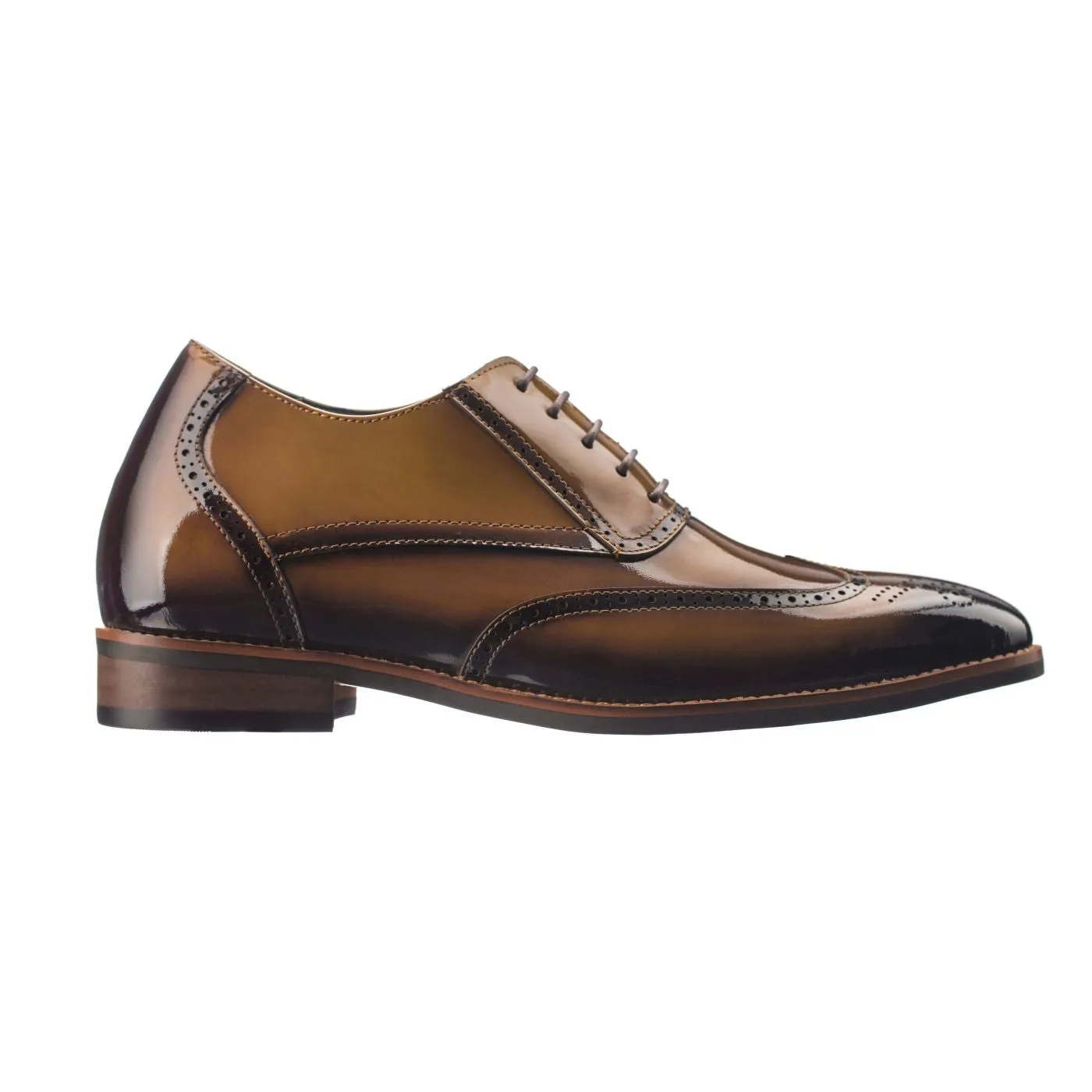 CALTO - S1017 - 3.0 Inches Taller (Dark Brown Patent Leather)