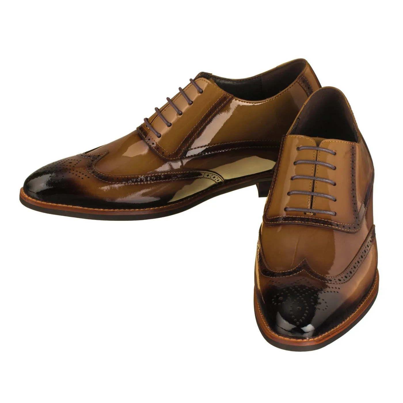 CALTO - S1017 - 3.0 Inches Taller (Dark Brown Patent Leather)